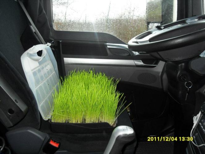 392629_2482255429959_111586396_n