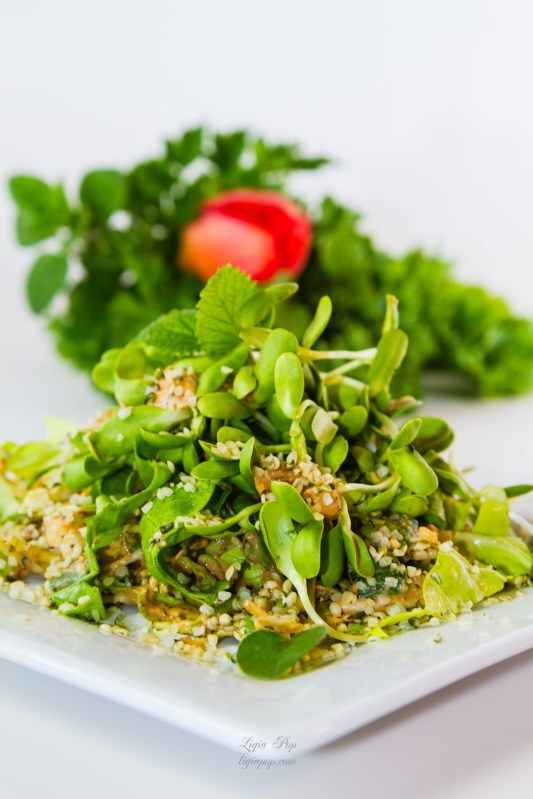 An original recipe by raw chef Ligia Pop (ligiapop.com).