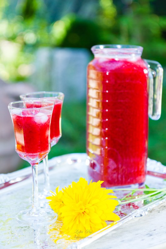 Limonada antioxidanta